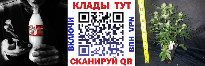 Купить закладку Кетамин  Галлюциногенные грибы  Alpha-PVP  ГАШИШ  Мефедрон  Бошки Шишки  КОКАИН  Красный Сулин