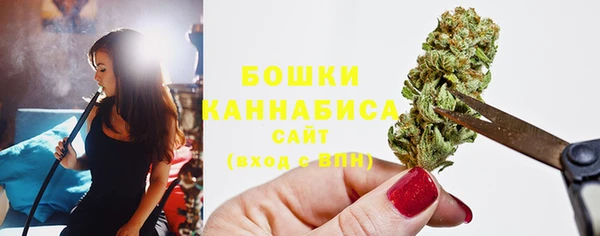 хмурый Бородино