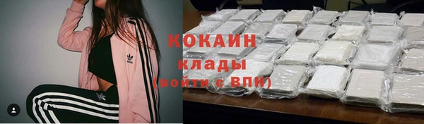 дживик Аркадак