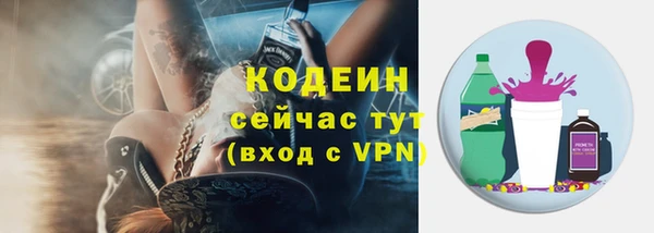 хмурый Бородино