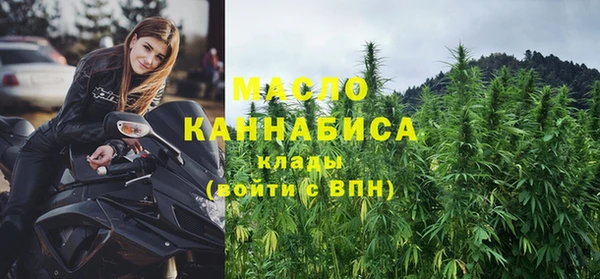 хмурый Бородино
