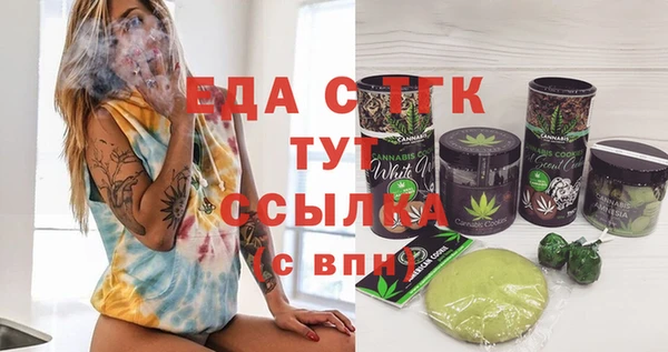 хмурый Бородино