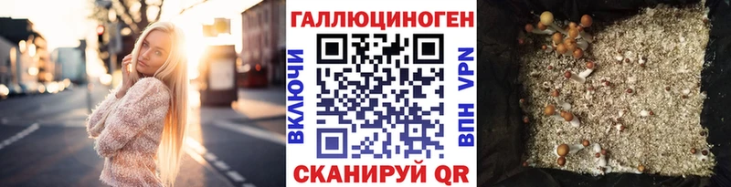 Псилоцибиновые грибы Psilocybe Красный Сулин