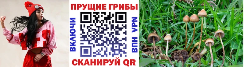 Галлюциногенные грибы ЛСД  Купить закладки  Красный Сулин 